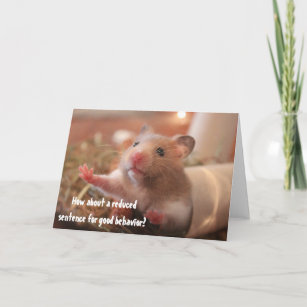 Funny Hamster In Cage Jail Good Behaviour Greeting Card