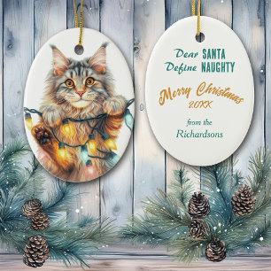 Funny Hanging Cat Define Naughty Christmas Ceramic Tree Decoration