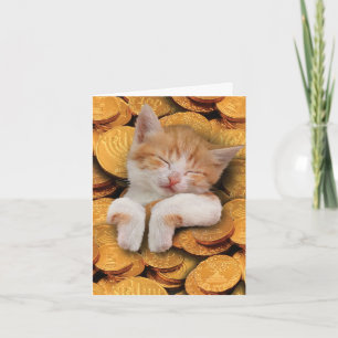 Funny Hanukkah Greeting Card - Cat in Gelt