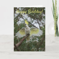 Funny Happy Bird Day Birthday Cockatoo Australia