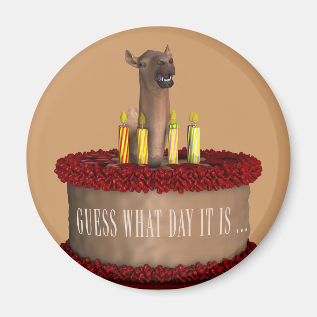 Funny Happy Birthday Camel Magnet (Front)