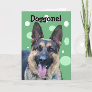 Funny Happy Birthday Card