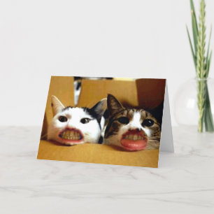 Funny Happy Birthday Card