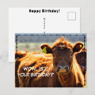 Funny Happy Birthday Country Farm Mail Farm Tales  Postcard