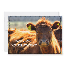 Funny Happy Birthday Country Mail Tales From Farm 