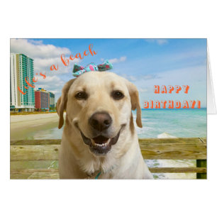 Funny Happy Birthday Labrador Dog at Beach