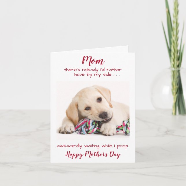Funny Happy Mothers Day Pet Dog Photo Holiday Card (Front)