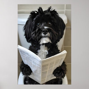 Funny Havanese Dog Print, Newspaper Bathroom Poster