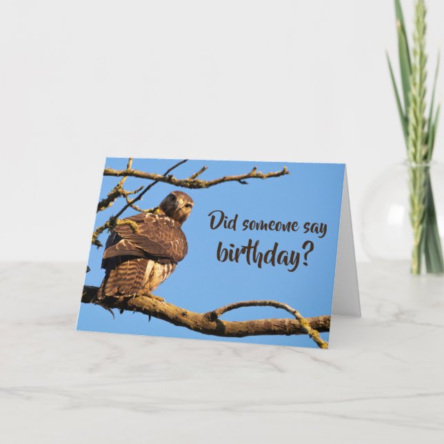 Funny Hawk Nature Photo Birthday Card (Front)
