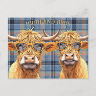 Funny Highland Cow Wearing Sunglasses Postcard