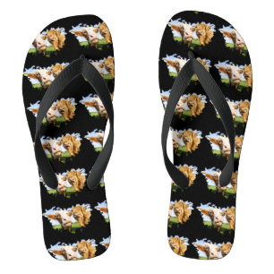 Funny Highland Cows Flip Flops