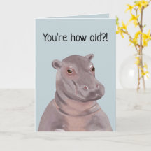 Funny Hippo Illustration Personalised Birthday