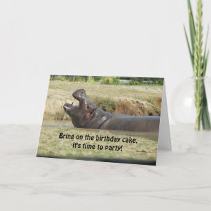 Funny Hippopotamus Birthday Greeting Card