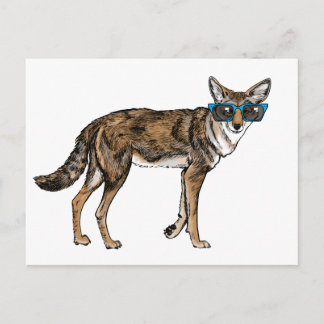 Funny Hipster Coyote with Sunglasses Postcard