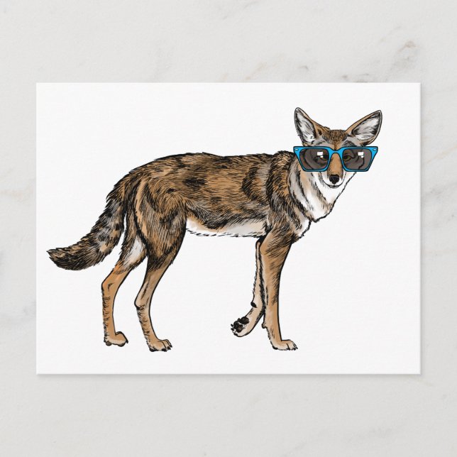 Funny Hipster Coyote with Sunglasses Postcard (Front)