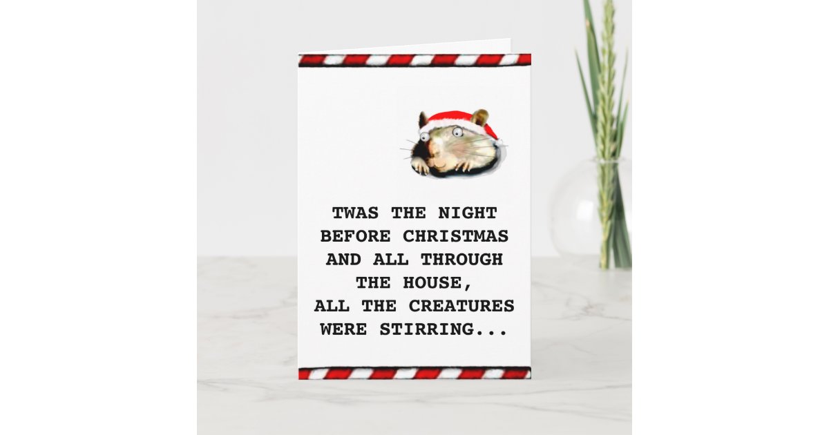 Funny Holiday Cards | Zazzle.co.uk