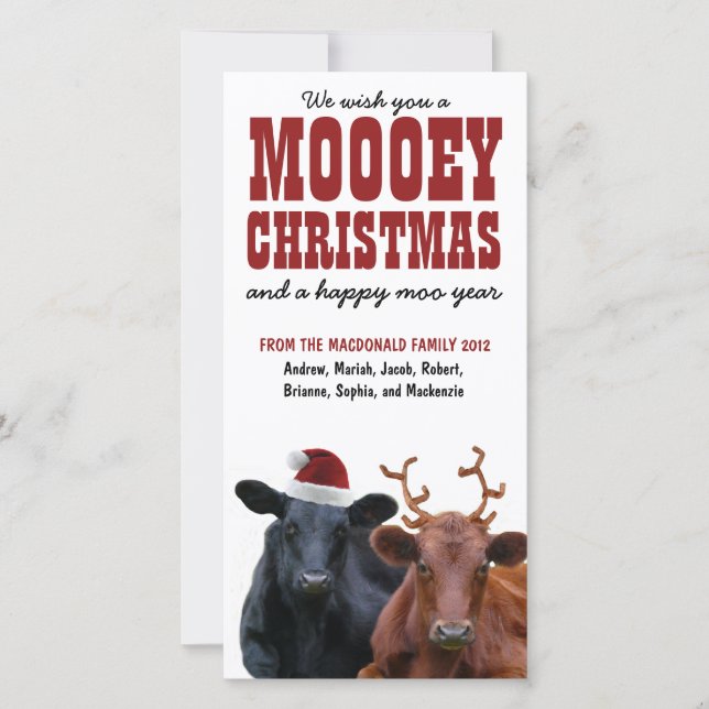 Funny Holiday Cow Couple Mooey Christmas (Front)
