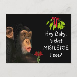 Funny Holiday Greeting Card