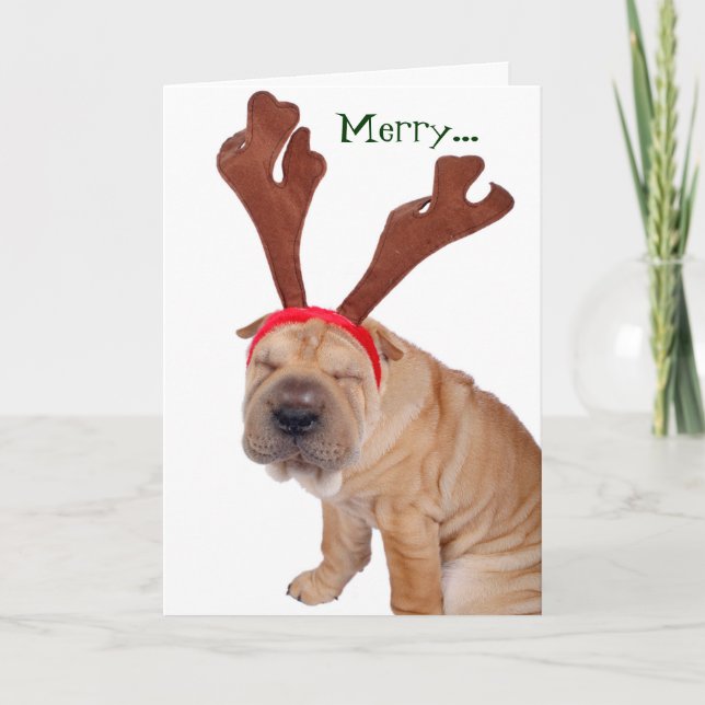 Funny Holiday Greetings from the Dog (Front)