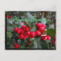 Funny Holly Postcard-customise