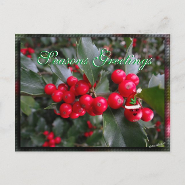Funny Holly Postcard-customise Holiday Postcard (Front)