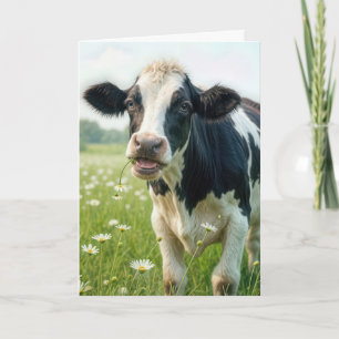 Funny Holstein Cow for Birthday Card