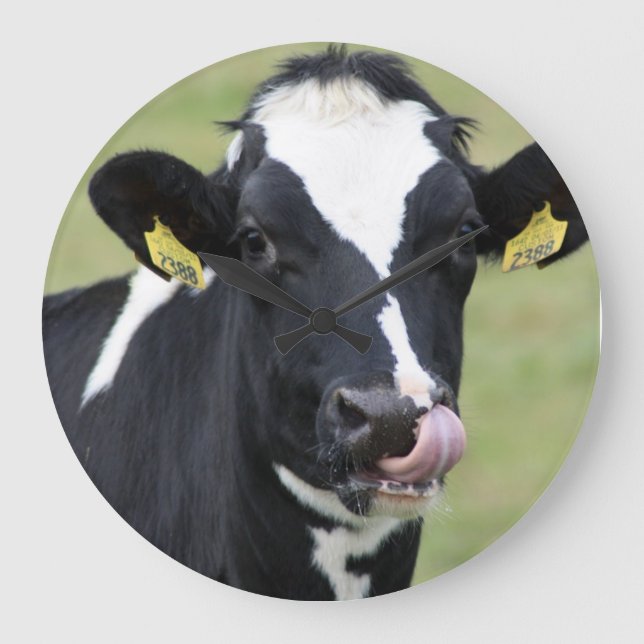 Funny Holstein cow wall clock (Front)