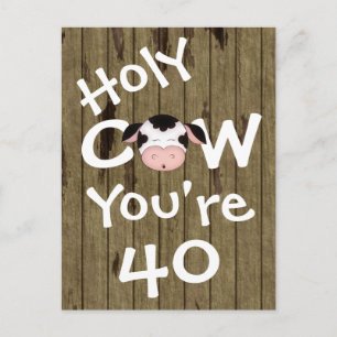 Funny Holy Cow You're 40 Birthday Postcard