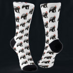 Funny Honey Badger Badass Santa Christmas Socks<br><div class="desc">Funny Badass Honey Badger Santa Animal Art christmas gift Socks Show off your wild side with these bold animal art christmas stocking stuffers gift socks featuring a fearless Honey Badger wearing a Santa Claus hat. Known for their toughness and never-give-up attitude, honey badgers are the ultimate symbol of courage, determination,...</div>