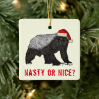 Funny Honey Badger Nasty or Nice quote