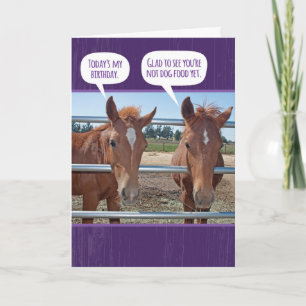 Funny Horse- Be Glad You're Not Dog Food Birthday Card
