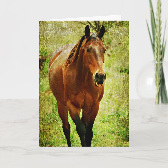 Funny Horse, Birthday Card (Front)