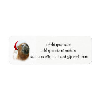 Funny horse Christmas