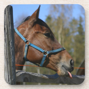 Funny Horse coasters
