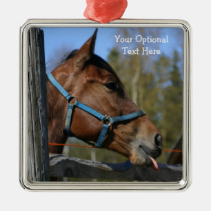 Funny Horse custom ornaments