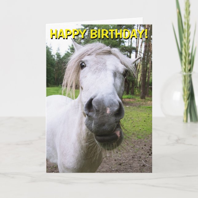 Funny horse customisable greetings card (Front)