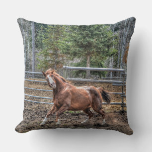 Funny Horse Equine Photo Design for Animal-lovers Cushion