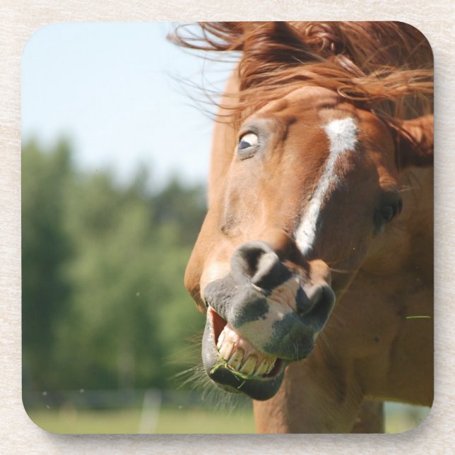 Funny Horse Face with Curled Lips, Crazy Eye Coaster (Front)