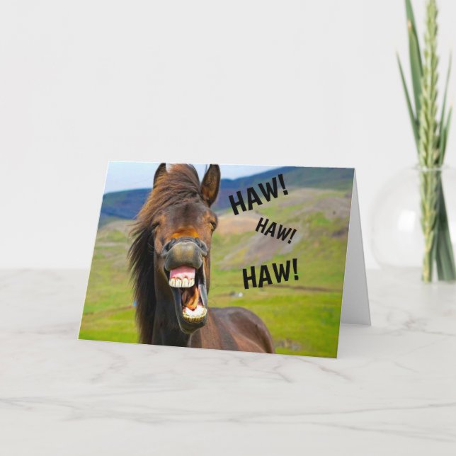 Funny Horse Humour Birthday Card (Front)