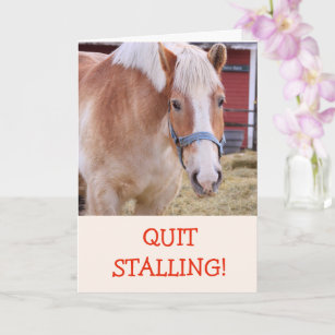 Funny Horse Joke Pun Get Well Card