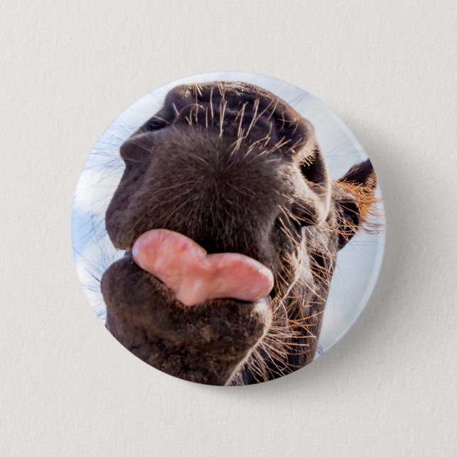 Funny Horse Lick Photograph 6 Cm Round Badge (Front)
