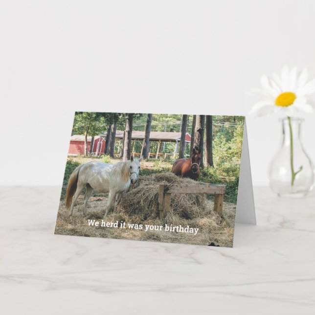 Funny Horse Lover Birthday Card (Small Plant)