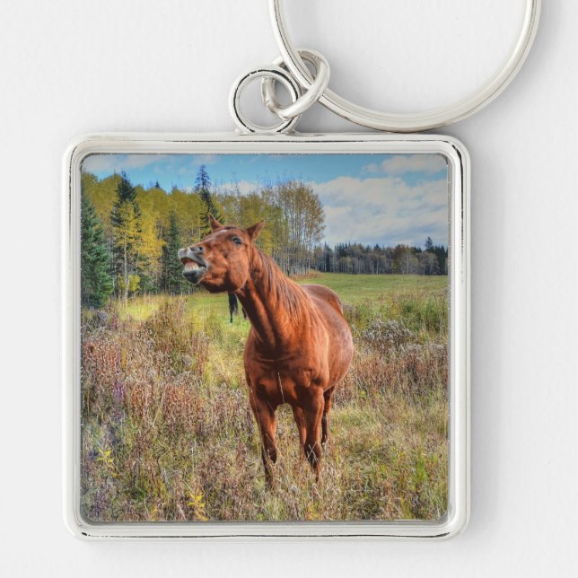 Funny Horse-lover's Sorrel Mare Equine Photo Ranch Key Ring (Front)