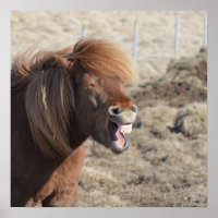 Funny Horse Making a Silly Face