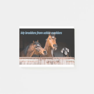 Funny Horse Memes Funny Horse Pictures Sayings Post-it Notes