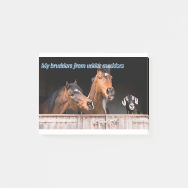 Funny Horse Memes Funny Horse Pictures Sayings Post-it Notes (Front)