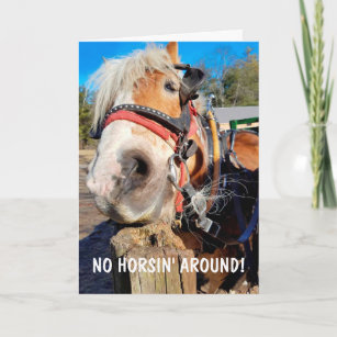 Funny Horse Pun Father's Day Card