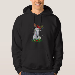 Funny Horse Reindeer Antlers Lights Ornament Chris Hoodie