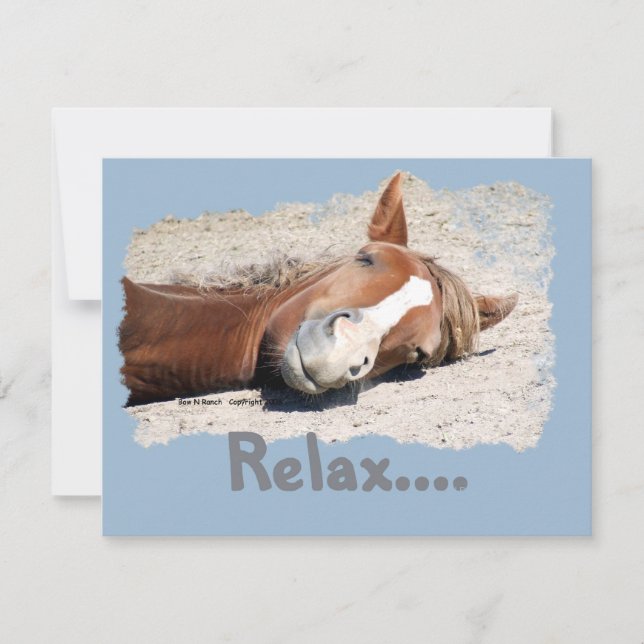 Funny Horse: Relax (Front)