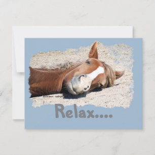 Funny Horse: Relax